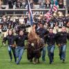 Ralphie running before a football game.