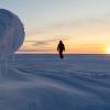 Researcher in the Arctic