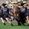 Scenes from the 2019 CU Kickoff at Folsom Field. (Photo by Glenn Asakawa/University of Colorado)
