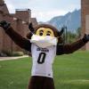 Chip the mascot wearing a mask
