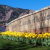 Yellow tulips in front of a University of Colorado Boulder sign