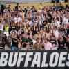 Fans cheer on the Buffs