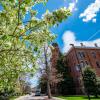 Spring blooms on a tree next to Old Main building on campus