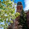 Spring blooms near Old Main
