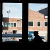 silhouette of a student studying in the CASE building