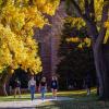 Students walking on campus