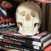 Human skull rests on top of books