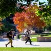 students walking on campus