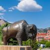 Buffalo statue on campus on a summer day