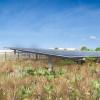 artist's rendering of a solar array to be built on East Campus