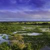 The Pantanal