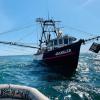 West coast shrimp trawler