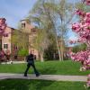 student walking on campus on a spring day