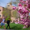 campus community members walking on campus on a spring day