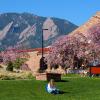 Student sitting on the lawn