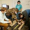 Group of mechanical engineering students work on a project
