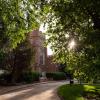 Sun filters through the trees in early morning by Macky Auditorium