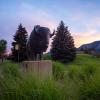 Ralphie statue at sunset