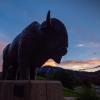 Buffalo sculpture on the CU Boulder campus.