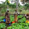 women farmers in tanzania