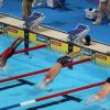 swimmers diving into a pool