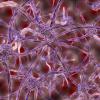 Neurons firing in the brain