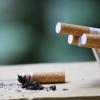 cigarette butts