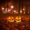 Jack-o-lanterns in the woods