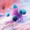 leukocytes attacking a cancer cell