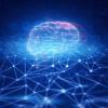 Ilustration of an AI brain