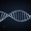 DNA