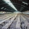 Terracotta warriors excavation site outside of Xi'an China