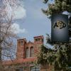 The top of a campus building appears in the background with a gray CU banner flag in the foreground, to the right, framed by an evergreen tree to the right and bare tree branches to the left.