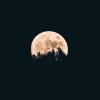 The moon at night