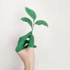 Green plant growing out of a person's hand