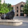 Buffalo statue outside Balch Fieldhouse