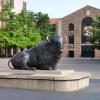 Buffalo statue outside Balch Fieldhouse at Folsom Stadium