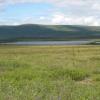 A photo of a Alaska's shrub tundra environment