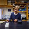 Stacey Smith, co-author on the publication and associate professor of ecology and evolutionary biology, peels the skin off of a Lantana fruit.