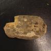 Bone fragment