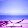 Image of a book on a beach