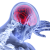 Graphic showing brain and skeleton