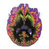 Image of a brain in multiple colorshttps://www.colorado.edu/today/node/50032/edit?content_lock_token=UPQnzvYtDrbPs5NIUro83GgtRdpkPatWbrZ50U1TyZo#