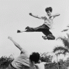 Bruce Lee