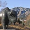 A buffalo sculpture on the CU Boulder campus