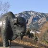 A buffalo sculpture on the CU Boulder campus