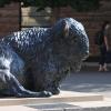 Buffalo sculpture