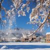 Snowy campus