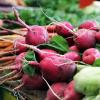 Beets, carrots and bok choy on a table. Photo by Caroline Attwood on Unsplash