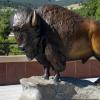 The Ralphie statue on top of the CASE building